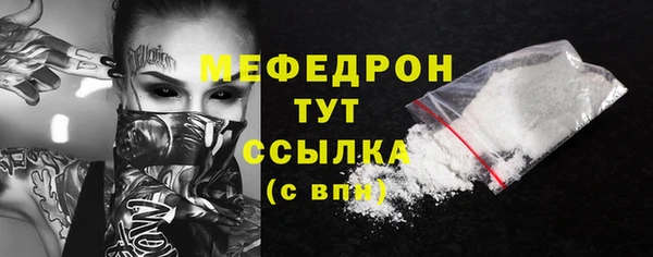 хмурый Аркадак