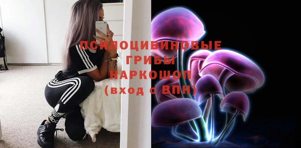 соль курить ск Арсеньев