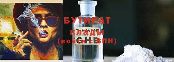 хмурый Аркадак