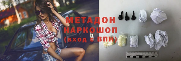 хмурый Аркадак