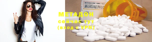 хмурый Аркадак