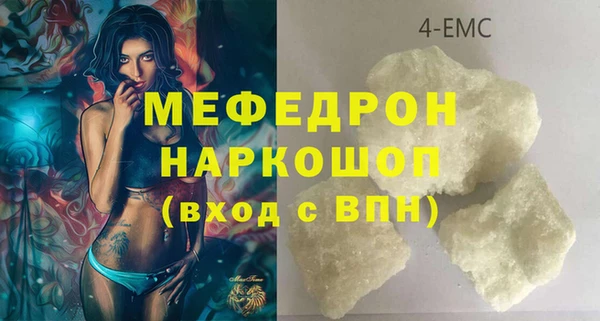 хмурый Аркадак