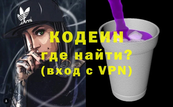 хмурый Аркадак