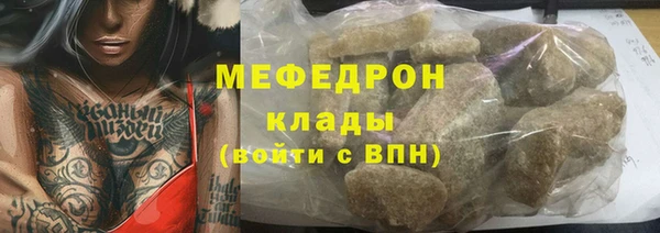 хмурый Аркадак